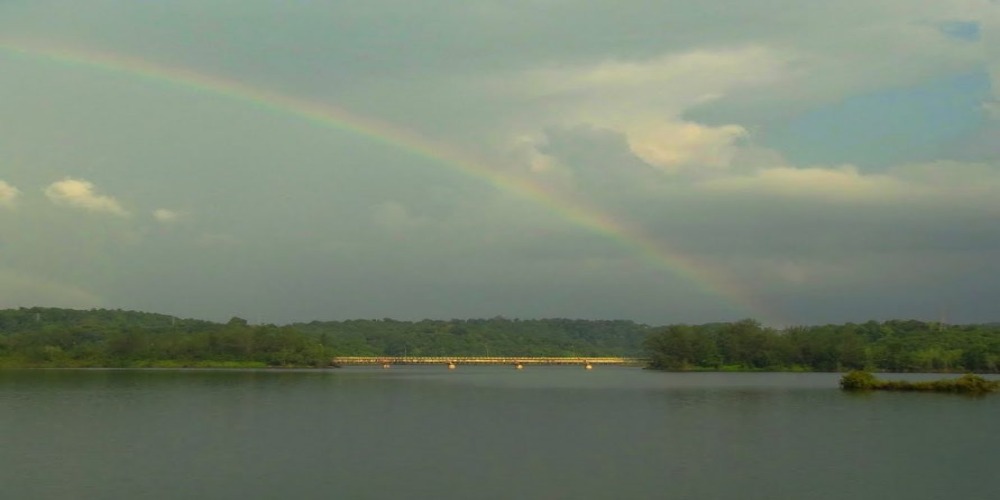 Mistisnya Sei Ladi, Telaga Tempat Para Hantu di Kota Batam