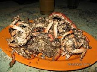 Kerapu Steam vs Rama Rama Selat Panjang, Mana Pilihanmu ?