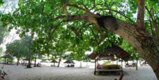 Di Pantai Sakera, Hasil Bekarang Bisa Dibawa Gratis