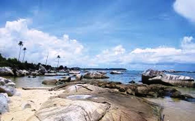 Pantai Teluk Depih, Dihiasi Pohon Cemara yang Eksotis