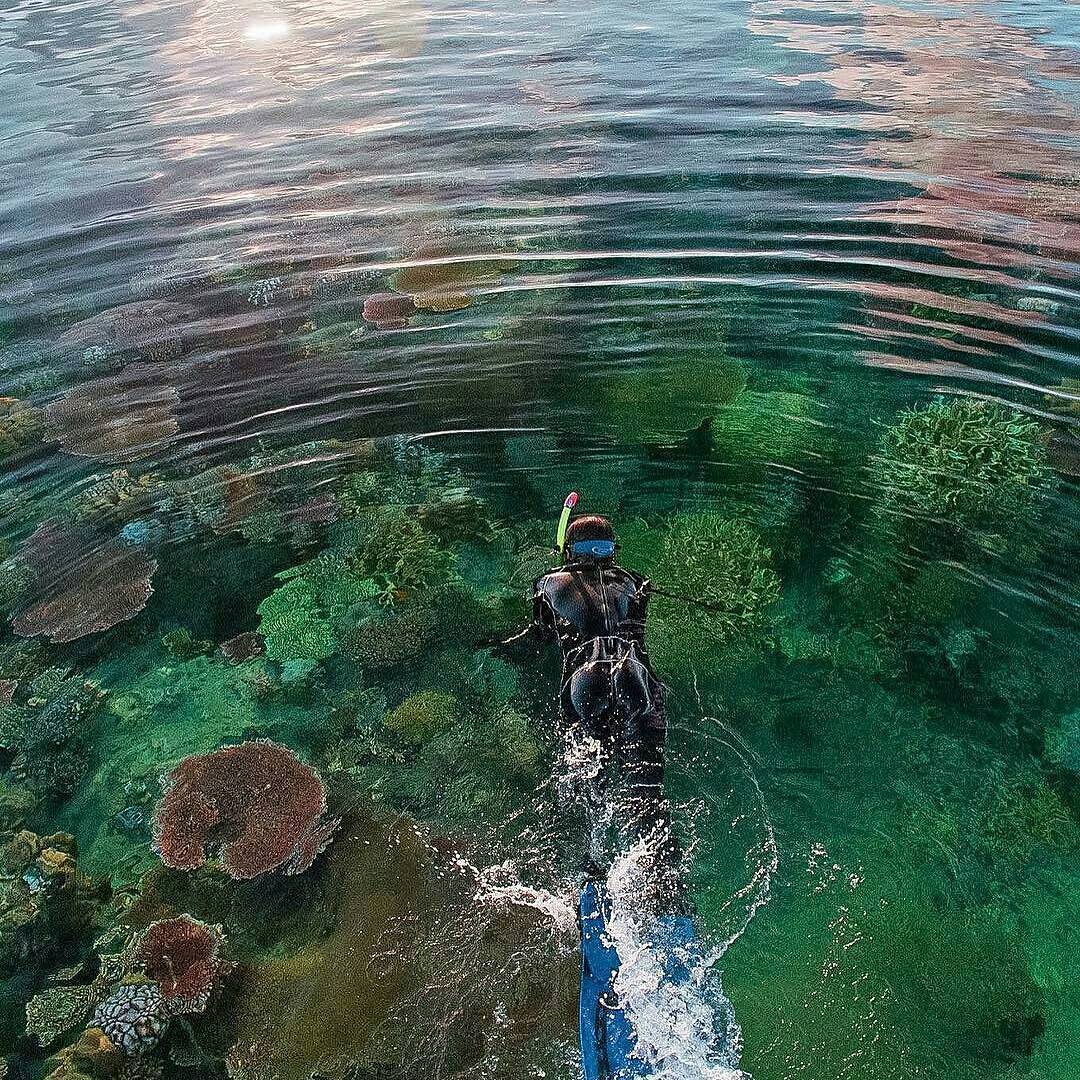 Hobi Snorkeling, Kamu Wajib ke Selat Rangsang