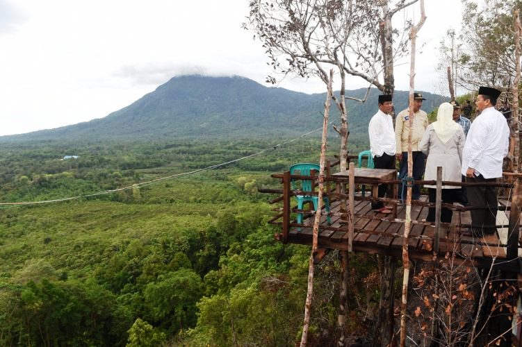 Menikmati Keindahan Bukit Kapur dengan Latar Hutan Pinus