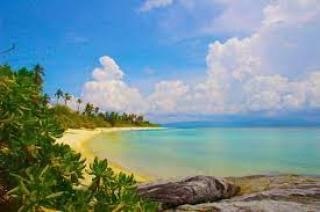 Pulau Mengkian Panjang, Surga Tersembunyi Populer di Indonesia