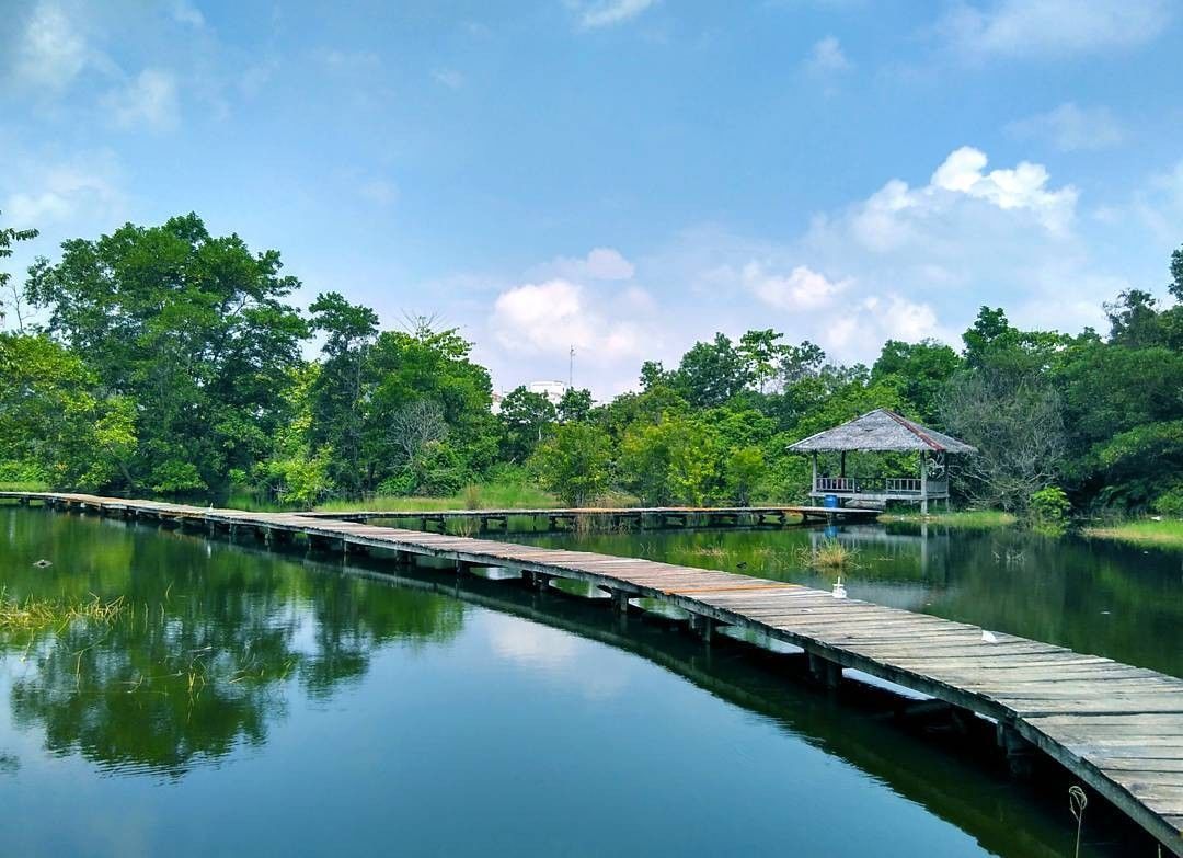 Butuh Suasana yang Rileks, Ke Arboretum Unri Saja
