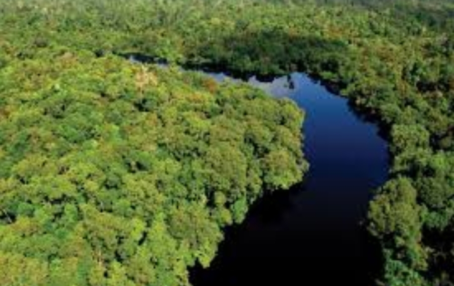 Suaka Margasatwa Bukit Batu Bengkalis, Hadirkan Flora Fauna Mempesona