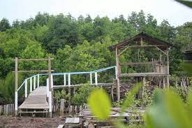 Hutan Wisata Hutan Mangrove Sebauk, Kini Sepi Pengunjung