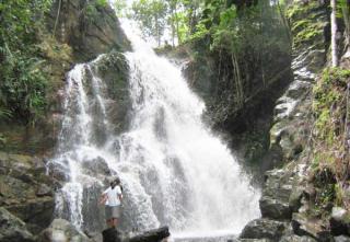 Air Terjun Bunyi, Lokasinya Tersembunyi di Tengah Hutan