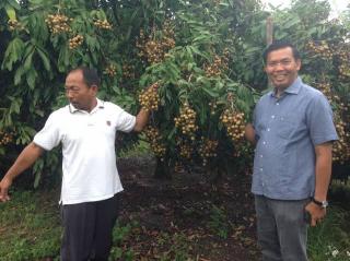 Yuk Petik Buahan Sepuasnya di Agrowisata Tenayan Raya