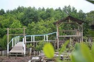 Hutan Wisata Hutan Mangrove Sebauk, Kini Sepi Pengunjung