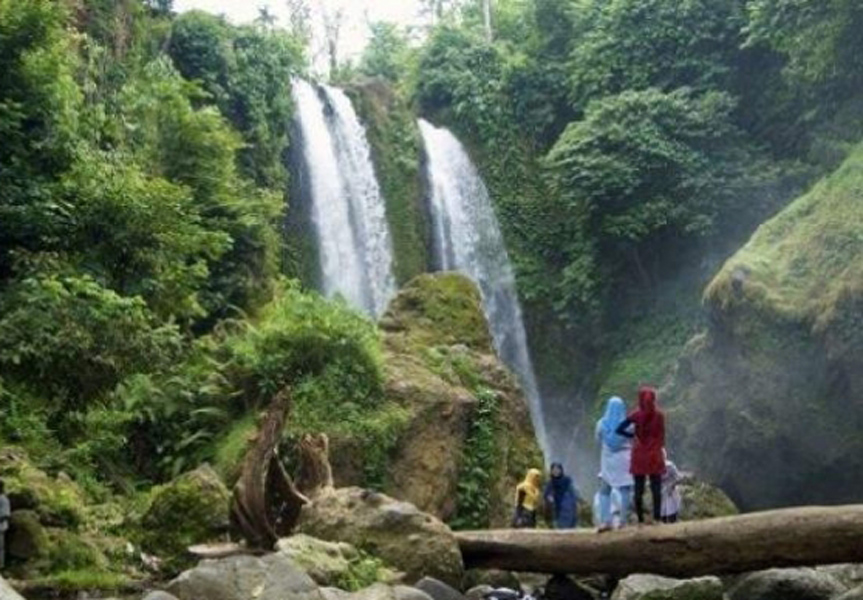 Melihat Burung Langka Kuau di Air Terjun 86 Riau