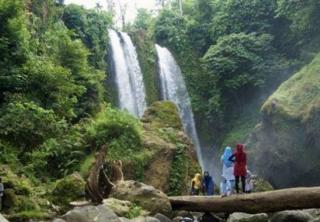 Melihat Burung Langka Kuau di Air Terjun 86 Riau