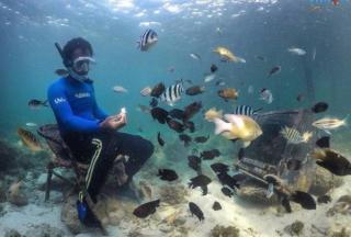 Pulau dan Pantai Dedap, Beningnya Laut Sama-Sama Kece