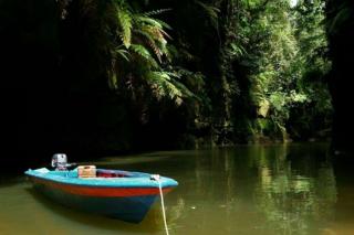 Sungai Gulamo, Geopark Alami di Kampar Riau