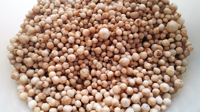 Makan Sagu Lemak Pakai Pisang Raja? Ahh Sedapnya!