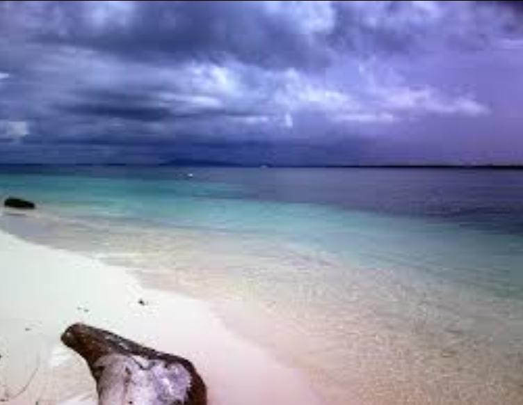 Menikmati Sunrise Sembari Menghirup Udara Segar di Hutan Bakau