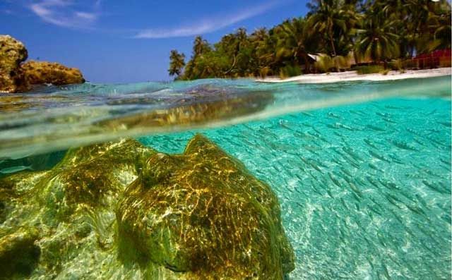 Nge-camp di Pulau Belanding, Surga Dunia Tersembunyi di Riau