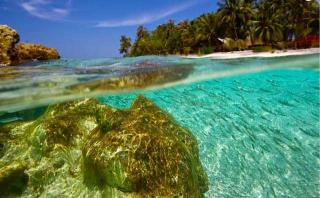 Nge-camp di Pulau Belanding, Surga Dunia Tersembunyi di Riau