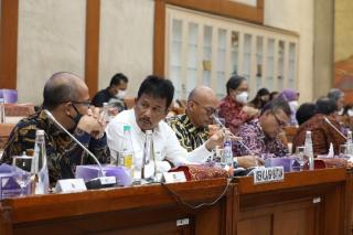 Pagu Anggaran BP Batam 2023 Disahkan Komisi IV DPR RI, Segini Besarannya!