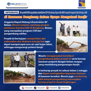 INFOGRAFIS: Deputi Bidang Infrastruktur BP Batam Apresiasi Peran Pengusaha Properti di Kawasan Bengkong dalam Upaya Mengatasi Banjir