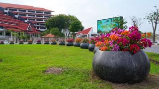 BP Batam: Penataan Pot Bougenville Perkuat Estetika Kota Tanpa Bebani Keuangan Negara