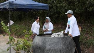 BP Batam Kecam Perusakan Puluhan Tanaman Bugenvil, Ariastuty: “Tindakan Vandalisme Ini Ciderai Semangat Kolektif Program Penataan Kota”