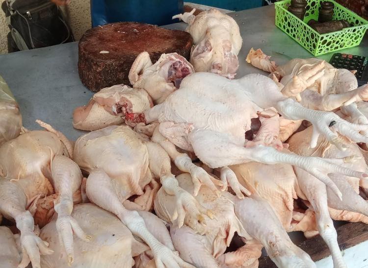 Harga Ayam di Tanjungpinang Rp42–44 Ribu, Pemko Jual Rp35 Ribu Ini Jadwal dan Lokasinya